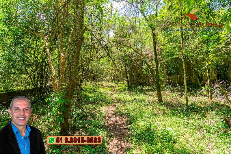 Sítio de 4.5 hectares com um Belíssimo Riacho à VENDA em Três Coroas: 42ª foto da galeria de imagens do imóvel