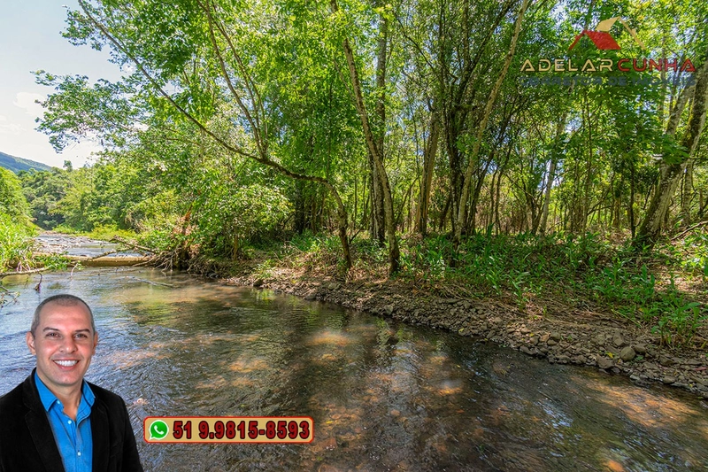 Sítio de 4.5 hectares com um Belíssimo Riacho à VENDA em Três Coroas: 26ª foto da galeria de imagens do imóvel