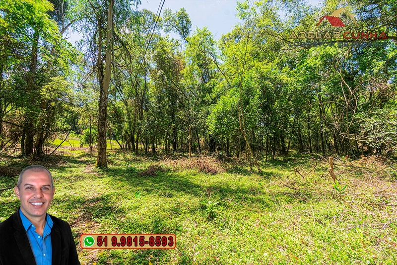 Sítio de 4.5 hectares com um Belíssimo Riacho à VENDA em Três Coroas: 29ª foto da galeria de imagens do imóvel