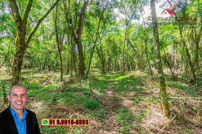 Sítio de 4.5 hectares com um Belíssimo Riacho à VENDA em Três Coroas: 36ª foto da galeria de imagens do imóvel