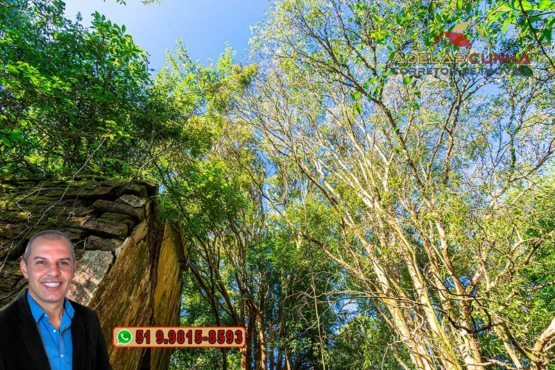 Sítio de 4.5 hectares com um Belíssimo Riacho à VENDA em Três Coroas: 49ª foto da galeria de imagens do imóvel