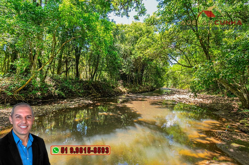 Sítio de 4.5 hectares com um Belíssimo Riacho à VENDA em Três Coroas: 5ª foto da galeria de imagens do imóvel