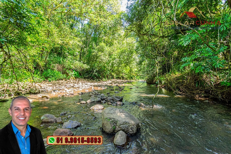 Sítio de 4.5 hectares com um Belíssimo Riacho à VENDA em Três Coroas: 6ª foto da galeria de imagens do imóvel