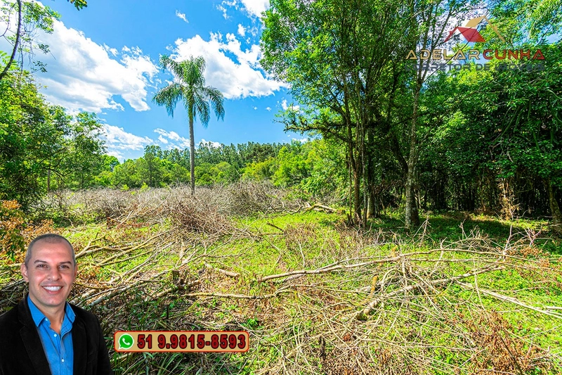 Sítio de 4.5 hectares com um Belíssimo Riacho à VENDA em Três Coroas: 54ª foto da galeria de imagens do imóvel