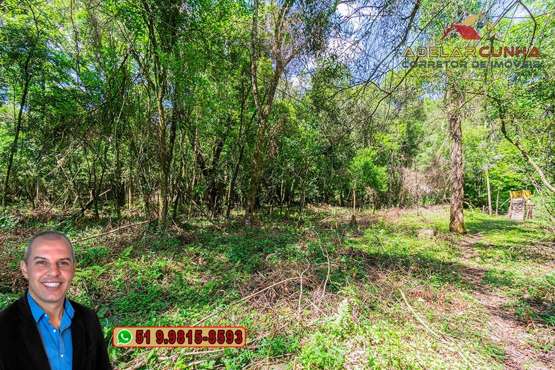 Sítio de 4.5 hectares com um Belíssimo Riacho à VENDA em Três Coroas: 28ª foto da galeria de imagens do imóvel