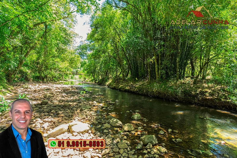Sítio de 4.5 hectares com um Belíssimo Riacho à VENDA em Três Coroas: 4ª foto da galeria de imagens do imóvel