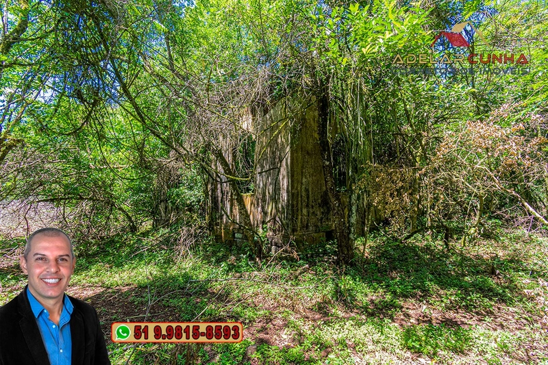 Sítio de 4.5 hectares com um Belíssimo Riacho à VENDA em Três Coroas: 44ª foto da galeria de imagens do imóvel