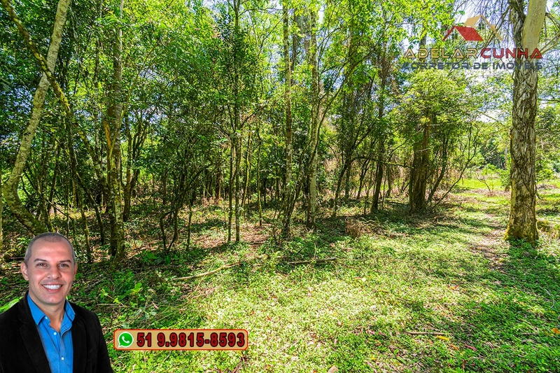 Sítio de 4.5 hectares com um Belíssimo Riacho à VENDA em Três Coroas: 30ª foto da galeria de imagens do imóvel