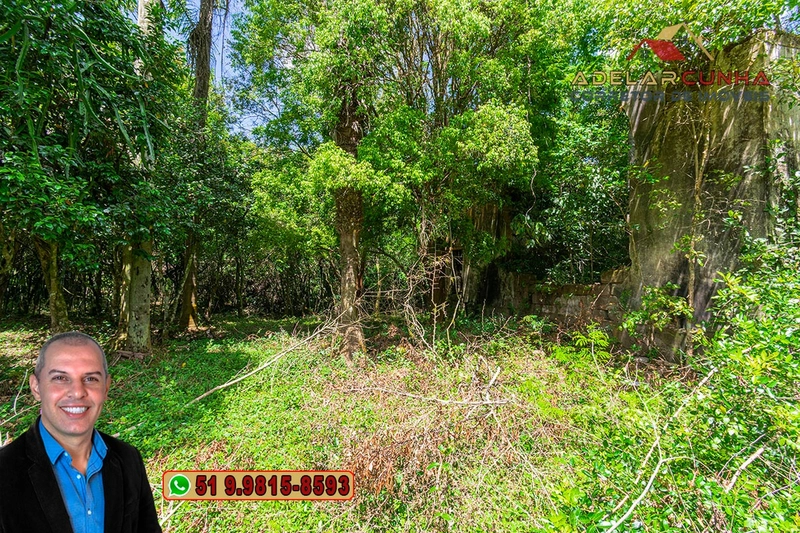 Sítio de 4.5 hectares com um Belíssimo Riacho à VENDA em Três Coroas: 52ª foto da galeria de imagens do imóvel