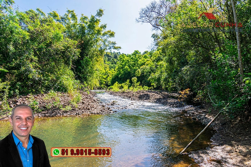 Sítio de 4.5 hectares com um Belíssimo Riacho à VENDA em Três Coroas: 14ª foto da galeria de imagens do imóvel