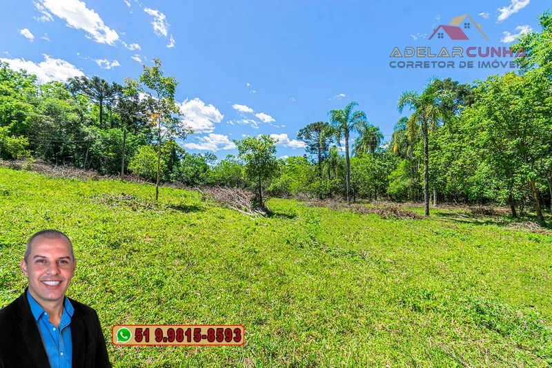 Sítio de 4.5 hectares com um Belíssimo Riacho à VENDA em Três Coroas: 31ª foto da galeria de imagens do imóvel