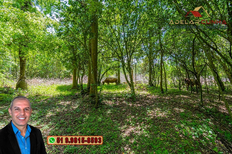 Sítio de 4.5 hectares com um Belíssimo Riacho à VENDA em Três Coroas: 53ª foto da galeria de imagens do imóvel