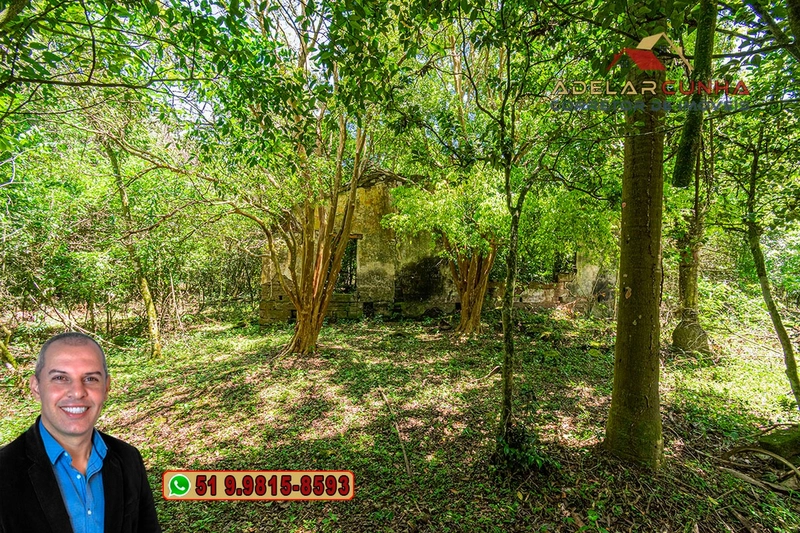 Sítio de 4.5 hectares com um Belíssimo Riacho à VENDA em Três Coroas: 46ª foto da galeria de imagens do imóvel