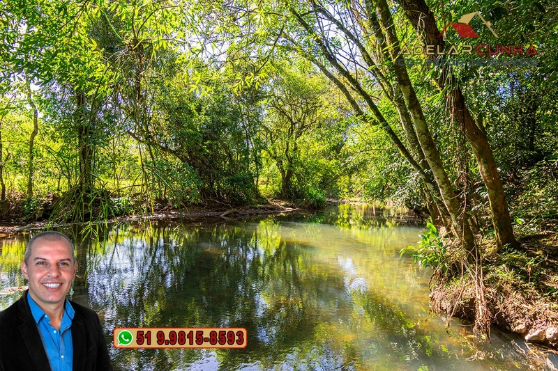 Sítio de 4.5 hectares com um Belíssimo Riacho à VENDA em Três Coroas: 15ª foto da galeria de imagens do imóvel