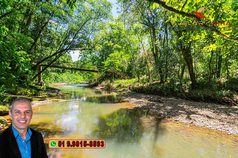 Sítio de 4.5 hectares com um Belíssimo Riacho à VENDA em Três Coroas: 2ª foto da galeria de imagens do imóvel