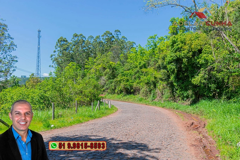 Sítio à VENDA em Três Coroas: 6ª foto da galeria de imagens do imóvel