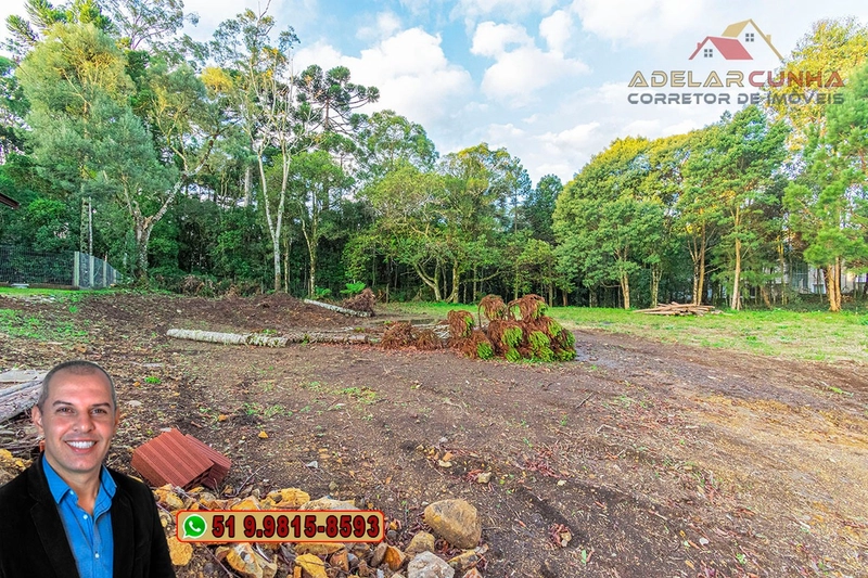 Casa à Venda em Gramado - RS com 3 Suítes sendo 1 Suíte máster.: 11ª foto da galeria de imagens do imóvel