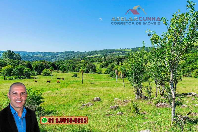 Sítio de 10 hectares à Venda em Igrejinha - RS: 31ª foto da galeria de imagens do imóvel