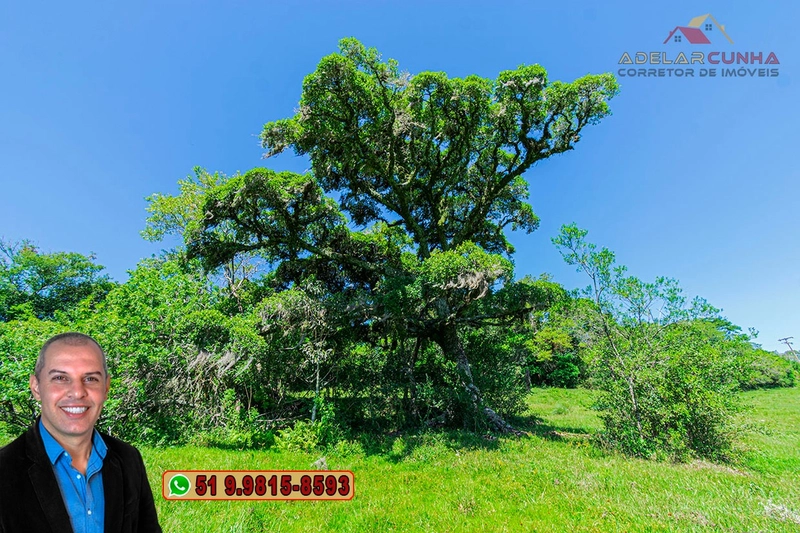 Sítio de 10 hectares à Venda em Igrejinha - RS: 22ª foto da galeria de imagens do imóvel