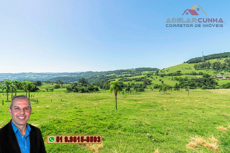 Sítio de 10 hectares à Venda em Igrejinha - RS: 2ª foto da galeria de imagens do imóvel