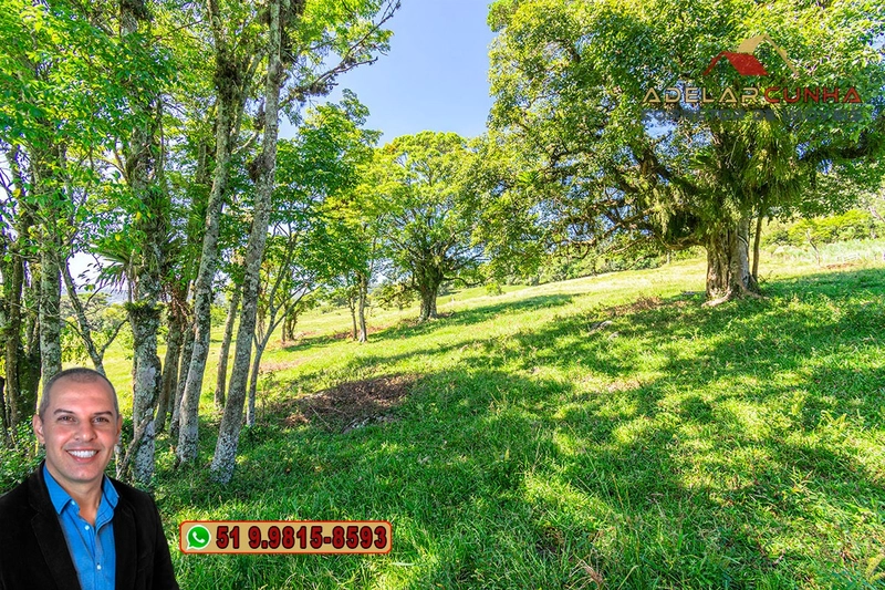 Sítio de 10 hectares à Venda em Igrejinha - RS: 27ª foto da galeria de imagens do imóvel