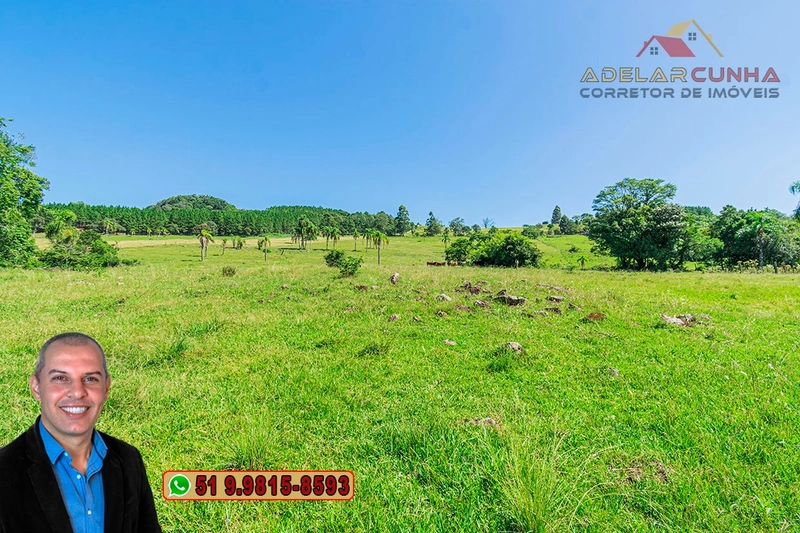 Sítio de 10 hectares à Venda em Igrejinha - RS: 11ª foto da galeria de imagens do imóvel