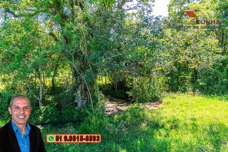 Sítio de 10 hectares à Venda em Igrejinha - RS: 12ª foto da galeria de imagens do imóvel