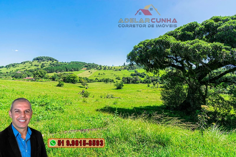 Sítio de 10 hectares à Venda em Igrejinha - RS: 21ª foto da galeria de imagens do imóvel