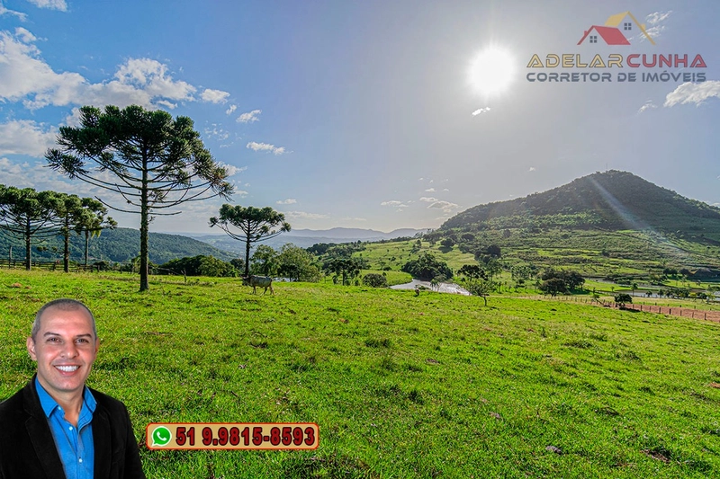 Sítio de 18 hectares à Venda em Igrejinha - RS: 19ª foto da galeria de imagens do imóvel