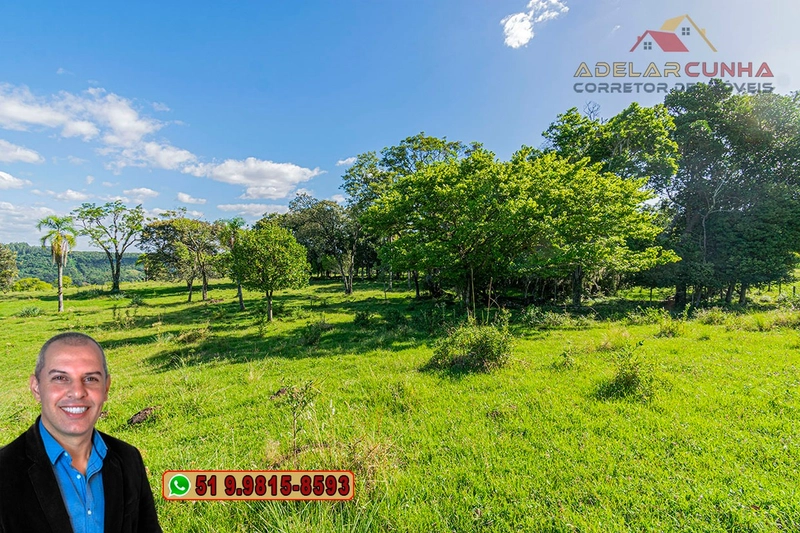 Sítio de 18 hectares à Venda em Igrejinha - RS: 43ª foto da galeria de imagens do imóvel