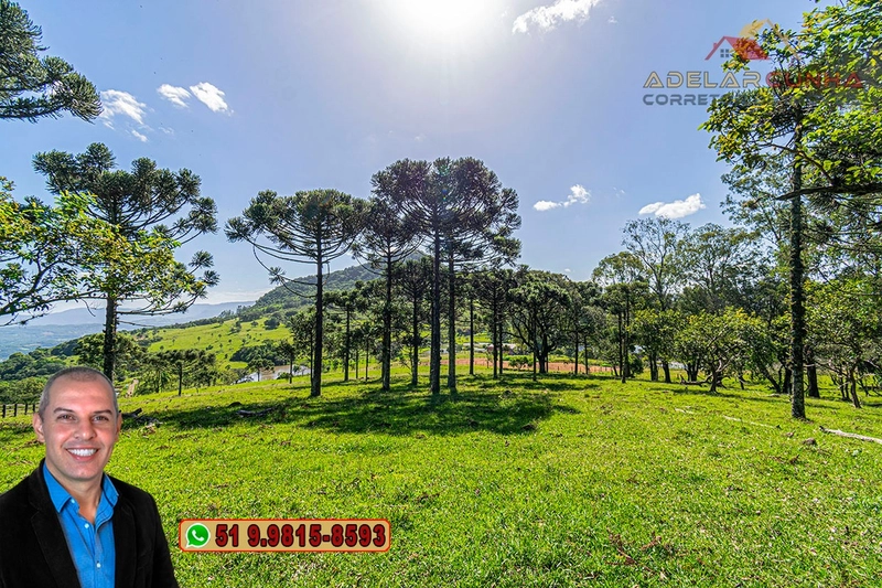 Sítio de 18 hectares à Venda em Igrejinha - RS: 17ª foto da galeria de imagens do imóvel