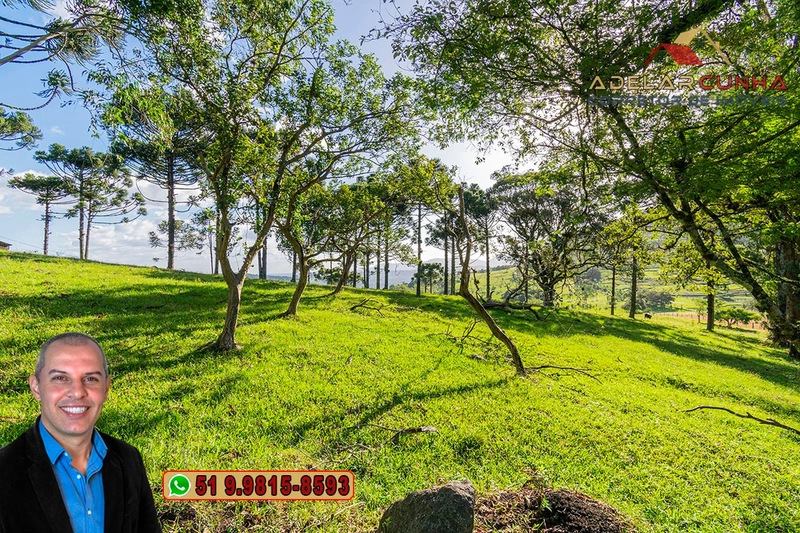 Sítio de 18 hectares à Venda em Igrejinha - RS: 13ª foto da galeria de imagens do imóvel