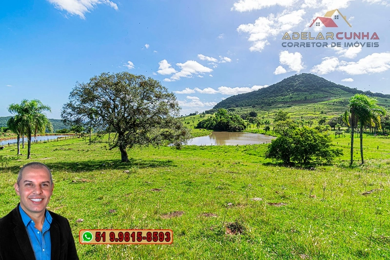 Sítio de 18 hectares à Venda em Igrejinha - RS: 25ª foto da galeria de imagens do imóvel
