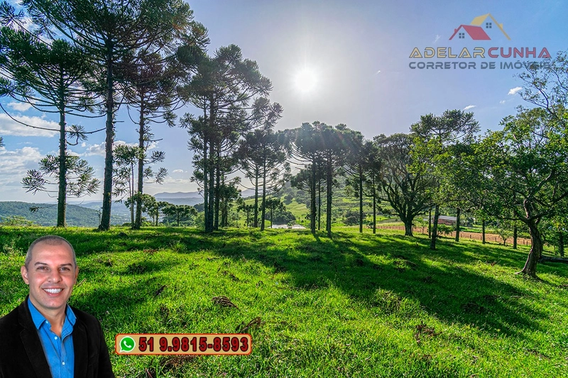 Sítio de 18 hectares à Venda em Igrejinha - RS: 18ª foto da galeria de imagens do imóvel