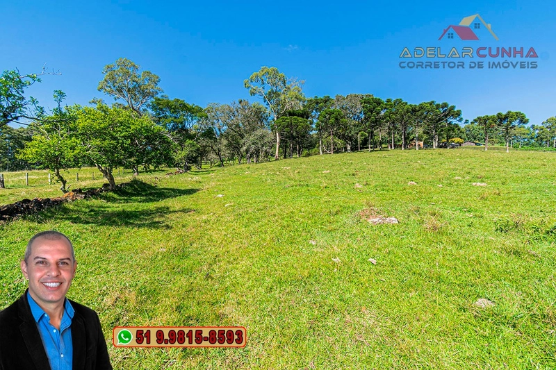 Sítio de 18 hectares à Venda em Igrejinha - RS: 21ª foto da galeria de imagens do imóvel
