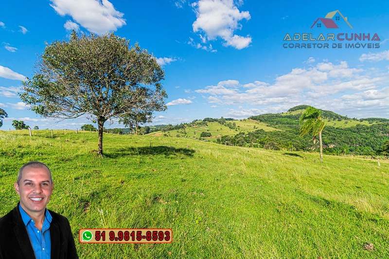 Sítio de 18 hectares à Venda em Igrejinha - RS: 38ª foto da galeria de imagens do imóvel