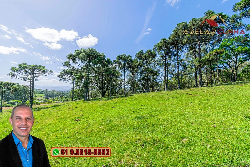 Sítio de 18 hectares à Venda em Igrejinha - RS: 3ª foto da galeria de imagens do imóvel