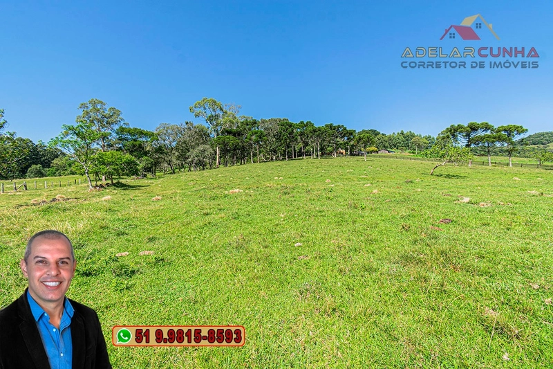 Sítio de 18 hectares à Venda em Igrejinha - RS: 22ª foto da galeria de imagens do imóvel