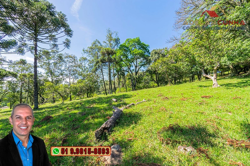 Sítio de 18 hectares à Venda em Igrejinha - RS: 4ª foto da galeria de imagens do imóvel