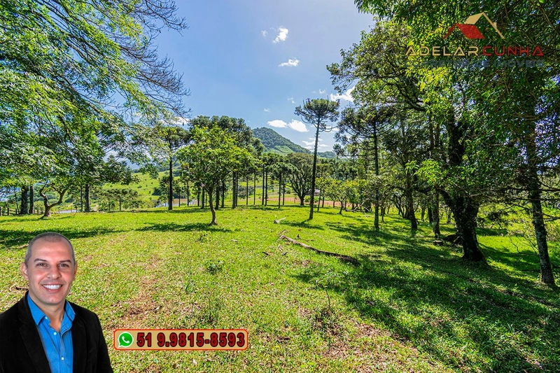 Sítio de 18 hectares à Venda em Igrejinha - RS: 16ª foto da galeria de imagens do imóvel
