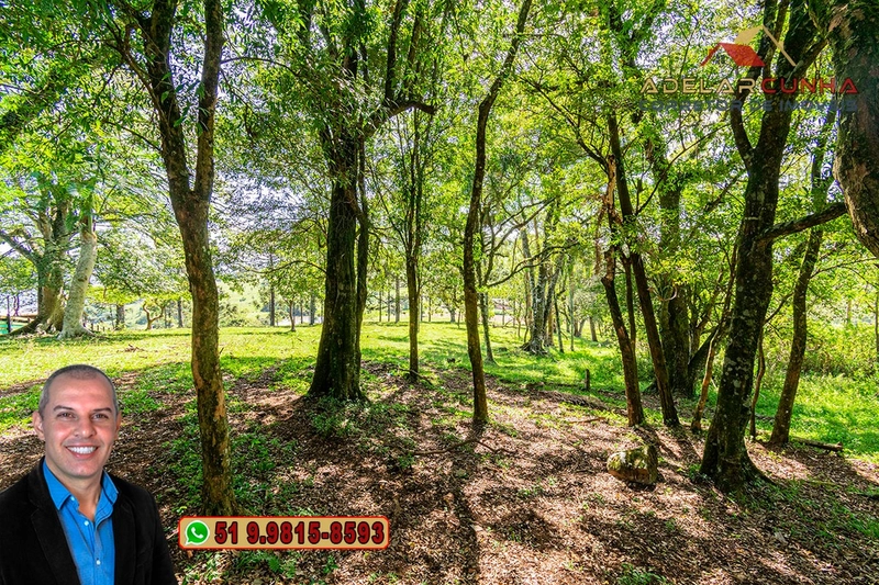 Sítio de 18 hectares à Venda em Igrejinha - RS: 7ª foto da galeria de imagens do imóvel