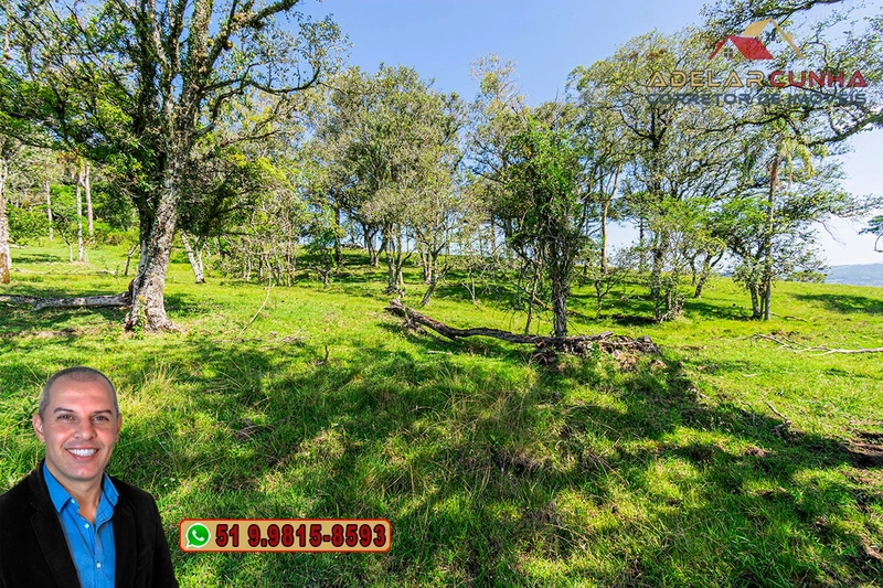 Sítio de 18 hectares à Venda em Igrejinha - RS: 5ª foto da galeria de imagens do imóvel
