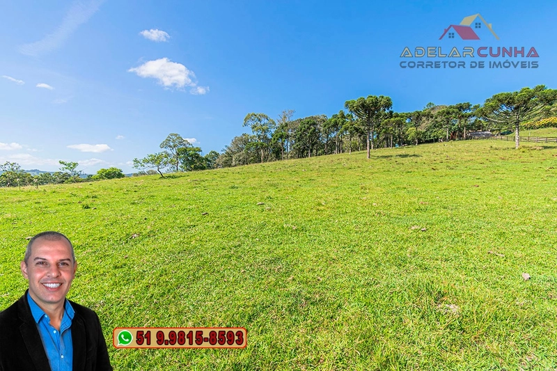Sítio de 18 hectares à Venda em Igrejinha - RS: 20ª foto da galeria de imagens do imóvel