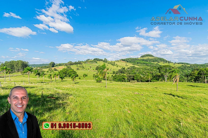 Sítio de 18 hectares à Venda em Igrejinha - RS: 36ª foto da galeria de imagens do imóvel