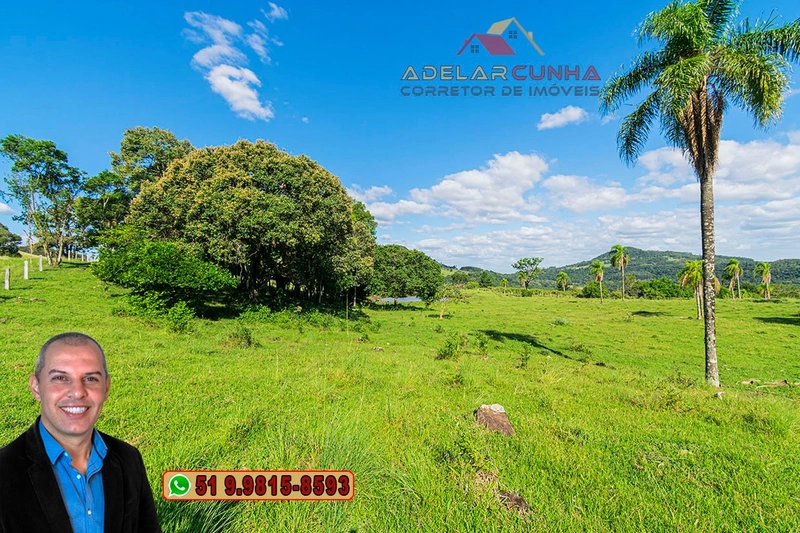 Sítio de 18 hectares à Venda em Igrejinha - RS: 44ª foto da galeria de imagens do imóvel