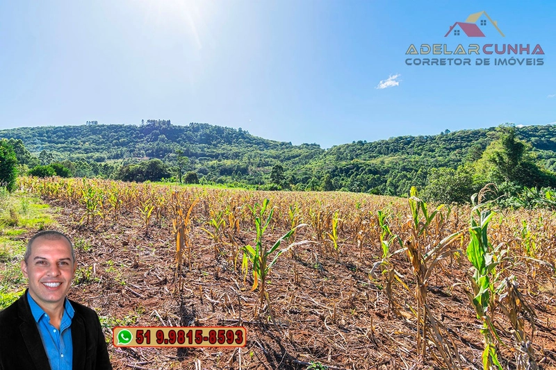 Sítio de 6.5 hectares à Venda em Taquara - RS: 16ª foto da galeria de imagens do imóvel