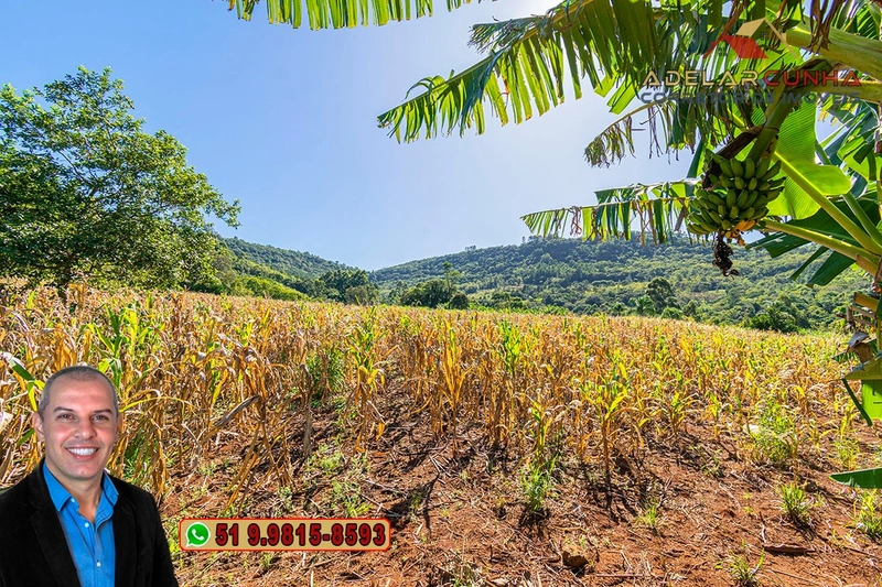 Sítio de 6.5 hectares à Venda em Taquara - RS: 17ª foto da galeria de imagens do imóvel