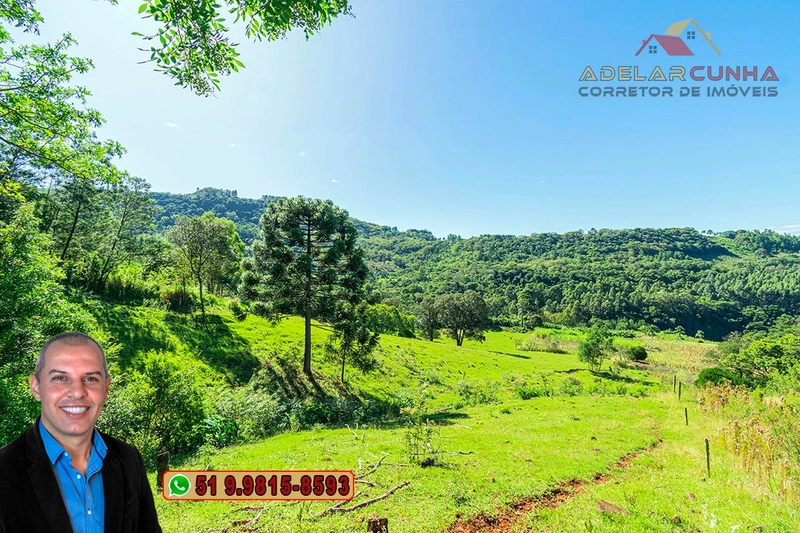 Sítio de 6.5 hectares à Venda em Taquara - RS: 25ª foto da galeria de imagens do imóvel