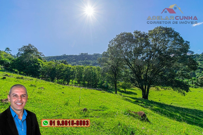 Sítio de 6.5 hectares à Venda em Taquara - RS: 11ª foto da galeria de imagens do imóvel