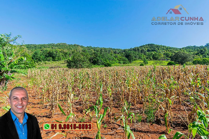 Sítio de 6.5 hectares à Venda em Taquara - RS: 14ª foto da galeria de imagens do imóvel